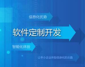 軟件系統定制開發
